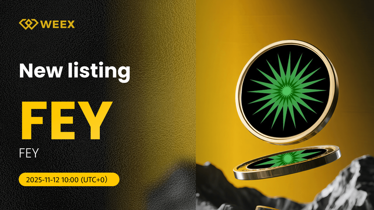 FEY USDT Now Live on WEEX: Trade FEY Coin